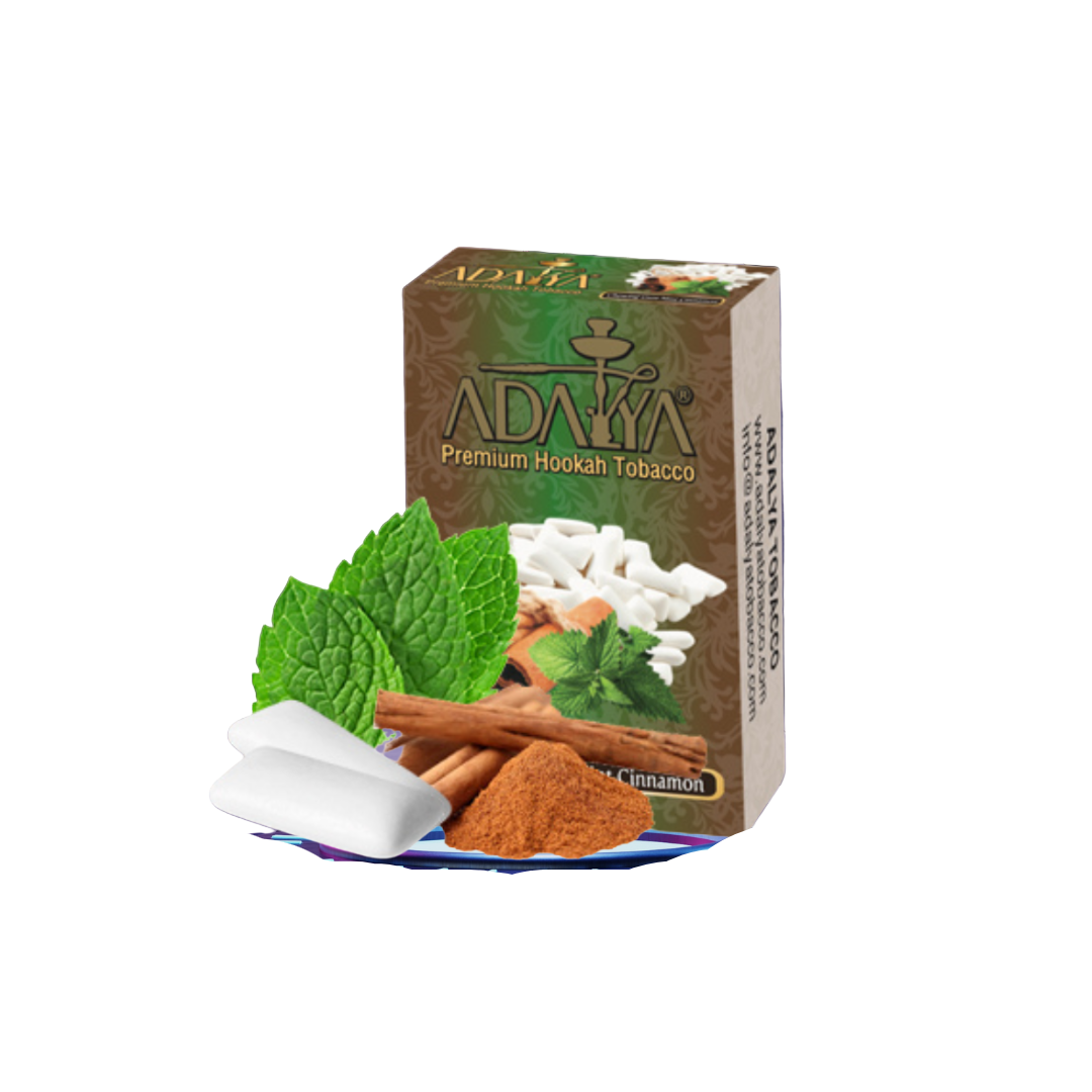 Chewing Gum Cinnamon Mint